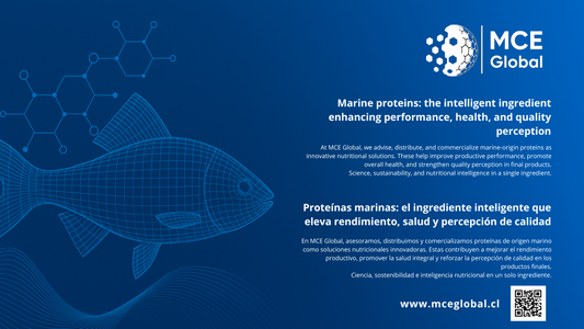 Proteínas marinas: el ingrediente inteligente que eleva rendimiento, salud y percepción de calidad